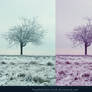 Winter Tree x2