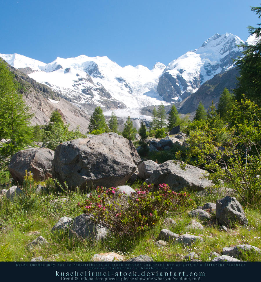 Morteratsch in June