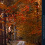 Autumn 01