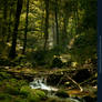 Forest River Premade