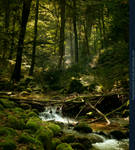 Forest River Premade by kuschelirmel-stock