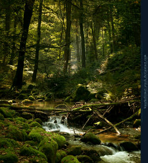 Forest River Premade by kuschelirmel-stock