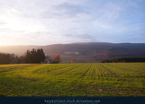 Taunus Evening II