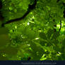 Foliage II