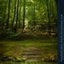 Premade BG - Pond With Stairs In The Woods