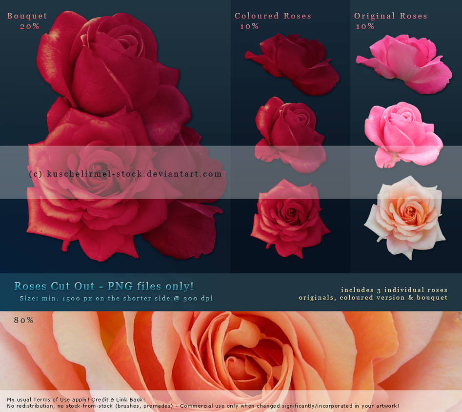 Roses Cut Out - Premium Stock by kuschelirmel-stock on DeviantArt