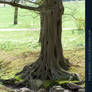 Base03 - Tree