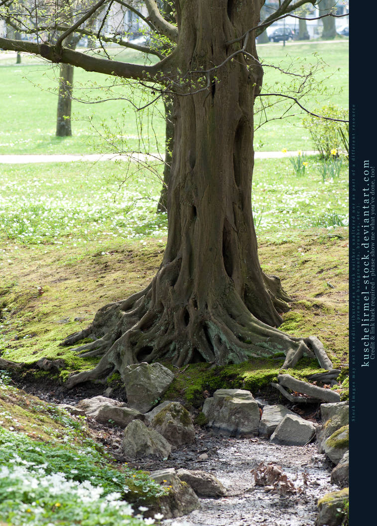 Base03 - Tree by kuschelirmel-stock