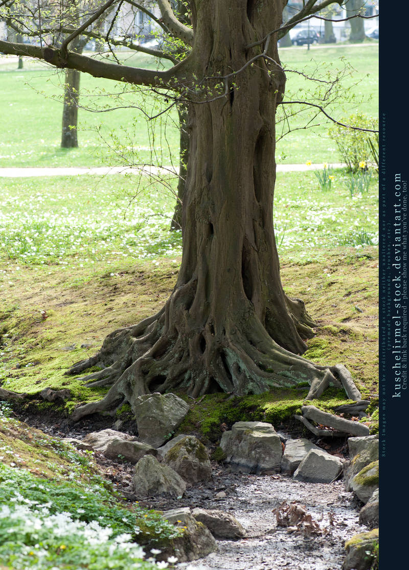 Base03 - Tree by kuschelirmel-stock