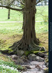 Base03 - Tree by kuschelirmel-stock