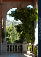 Marble Balcony with arch and plant I