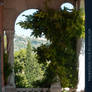 Marble Balcony with arch and plant I