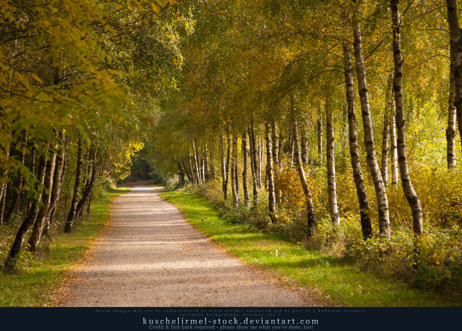 Grimm's Forest in October 01 by kuschelirmel-stock Grimm's Forest in October 01 by kuschelirmel-stock