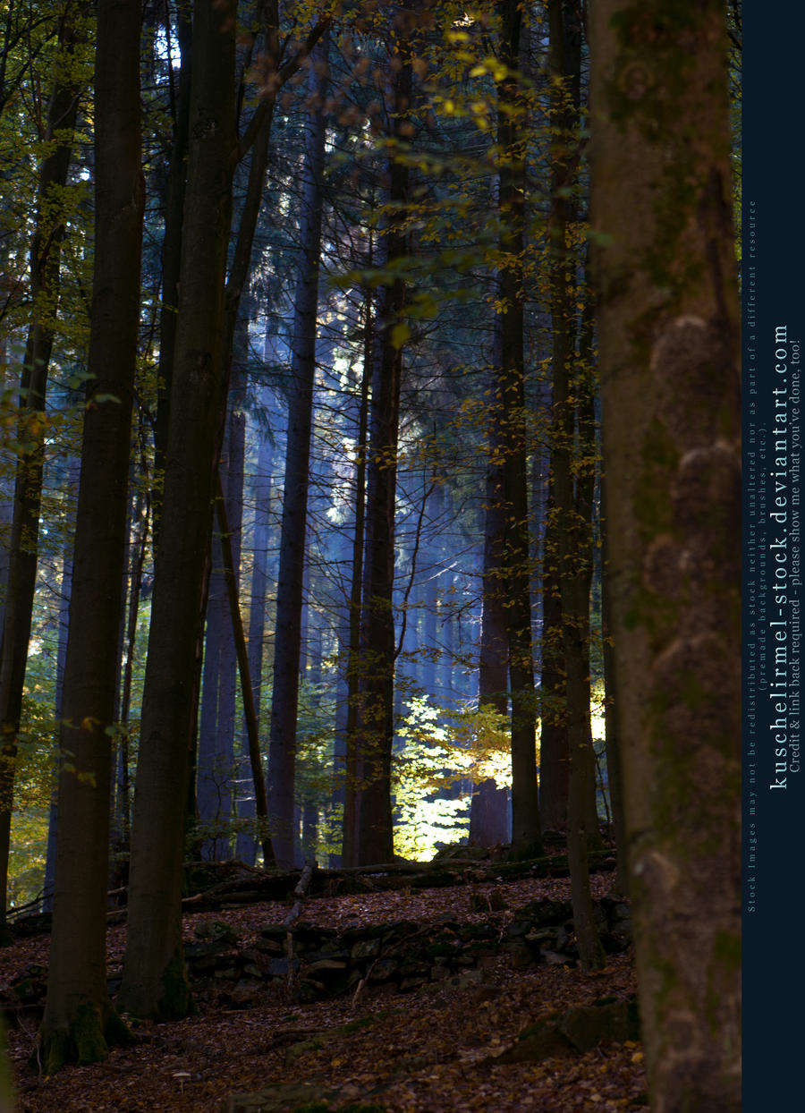 Grimm's Forest in October 02