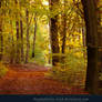 Grimm's Forest in October 03
