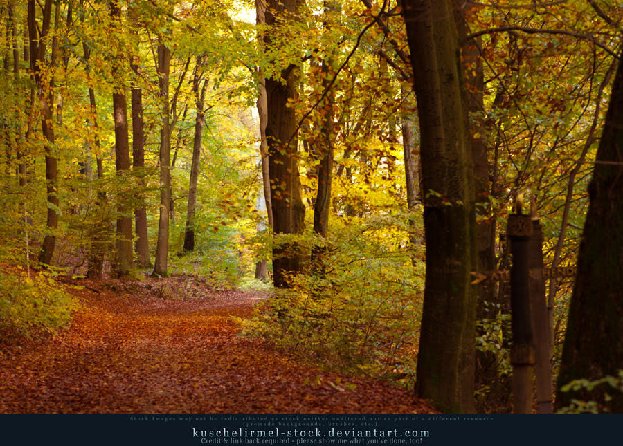 Grimm's Forest in October 03
