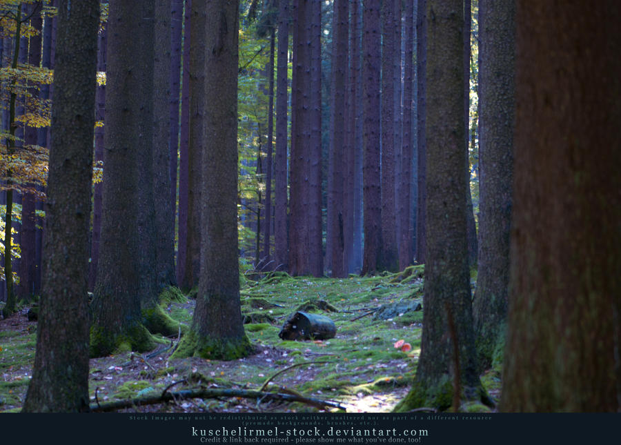 Grimm's Forest in October 05
