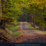 Grimm's Forest in October 10