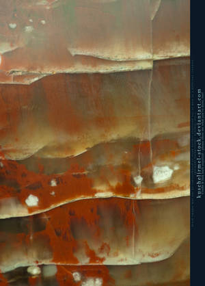 Petrified Wood Preview by kuschelirmel-stock
