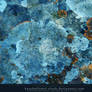 Blue Lichen Texture