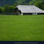 Alpine Barn - Meadow - Grass
