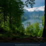 Alpine Lake - Tree - Mountains