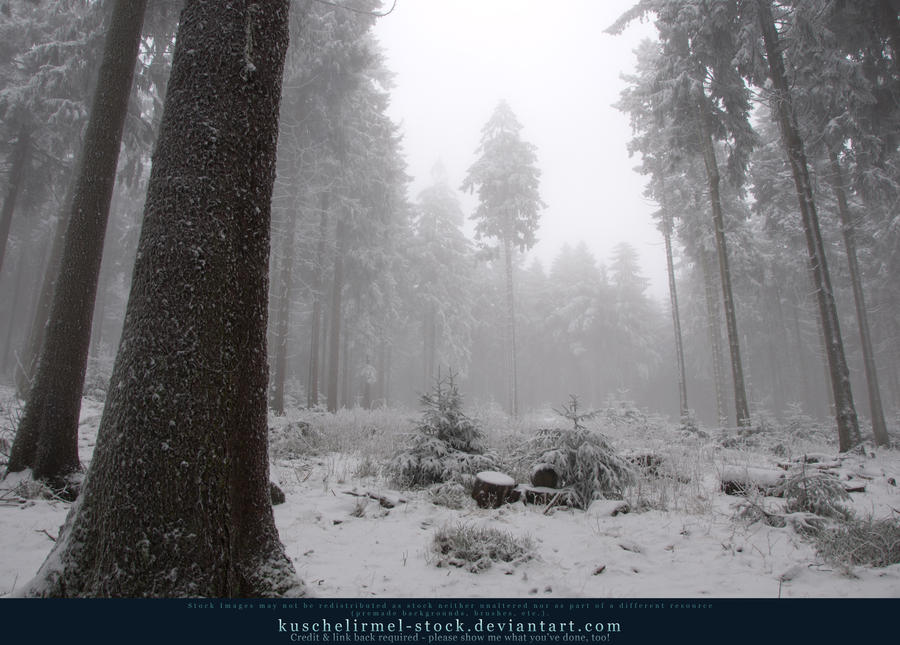 Winter Forest with Fog 11 by kuschelirmel-stock