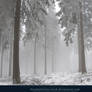 Winter Forest with Fog 10