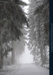 Winter Forest with Fog 06 by kuschelirmel-stock