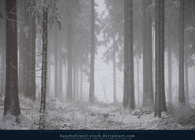 Winter Forest with Fog 04