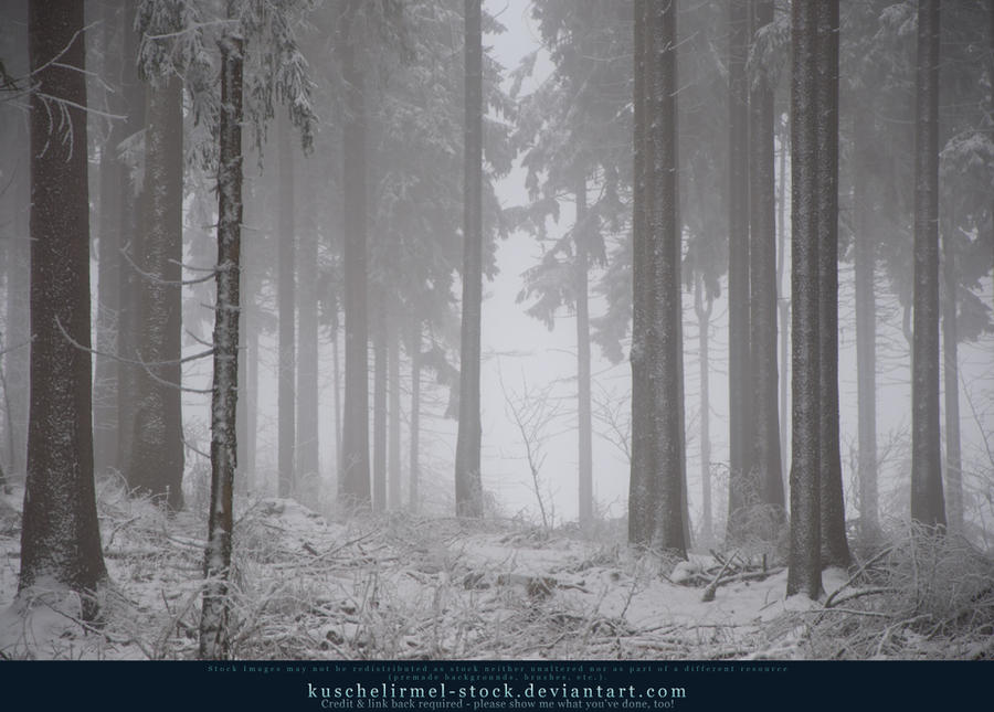 Winter Forest with Fog 04 by kuschelirmel-stock Winter Forest with Fog 04 by kuschelirmel-stock