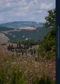 Tuscan Hills 08