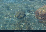 Water with light reflections 01 by kuschelirmel-stock