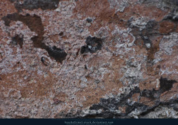 Stone Wall Textures 04
