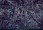 Icy Leaves Texture 04 by kuschelirmel-stock
