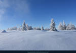 White Forest 01 by kuschelirmel-stock