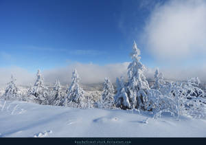 White Forest 02 by kuschelirmel-stock White Forest 02 by kuschelirmel-stock