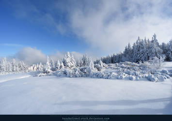 White Forest 05 by kuschelirmel-stock