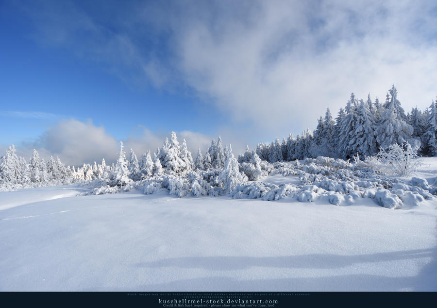 White Forest 05 by kuschelirmel-stock White Forest 05 by kuschelirmel-stock