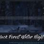 Black Forest Winter Night Premium Stock