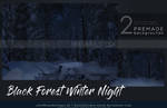 Black Forest Winter Night Premium Stock by kuschelirmel-stock