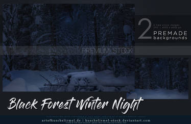 Black Forest Winter Night Premium Stock