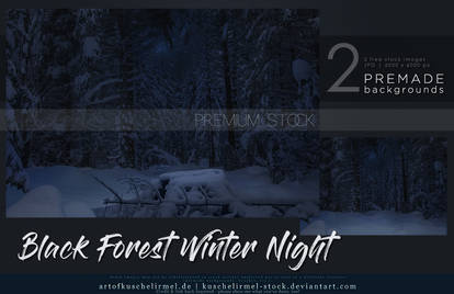 Black Forest Winter Night Premium Stock