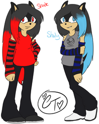 Shade and Shady The Hedgehogs~
