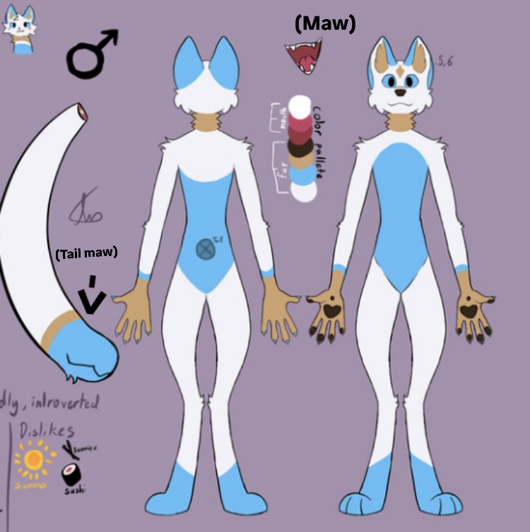 Fox Rabbit Fursona Meet the fox (fursona) by AriTheFoxy on DeviantArt