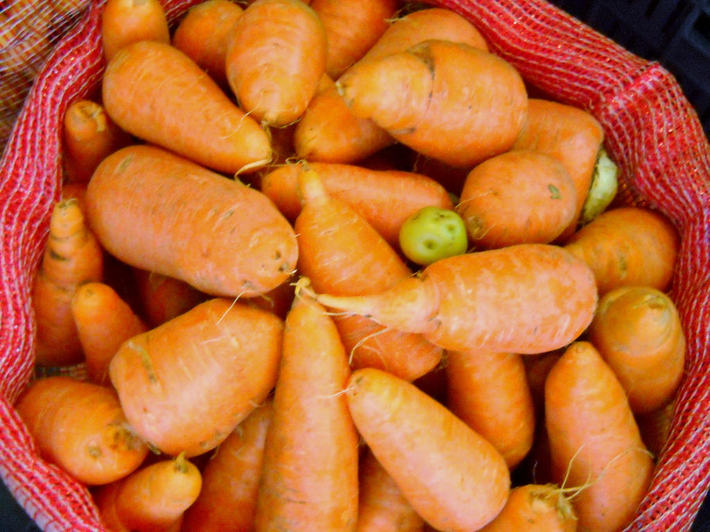 Carrots