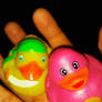 2 Cute Rubber Duckies