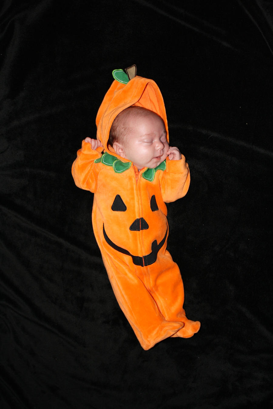 Baby - Pumpkin 4