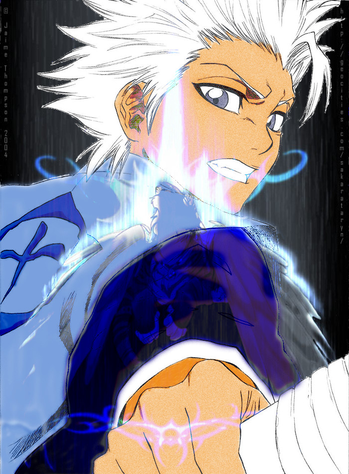 Hitsugaya-Tora Taichou