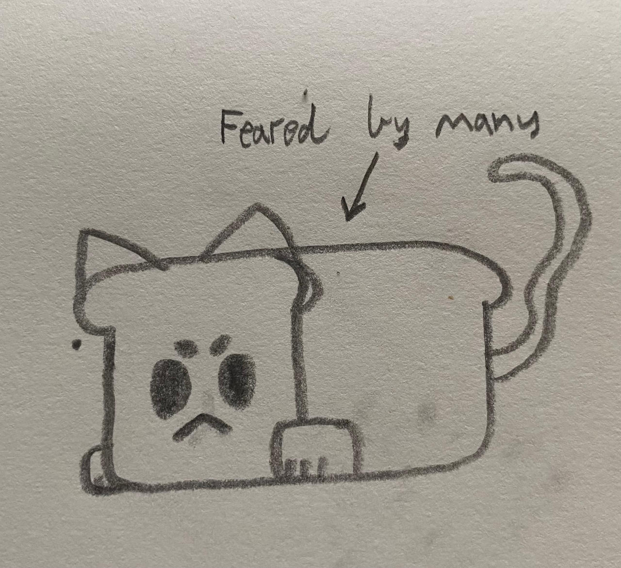bread cat